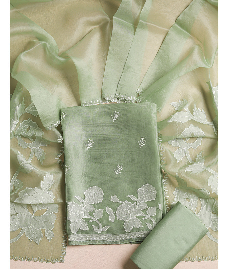 Pure organza applique work suit set