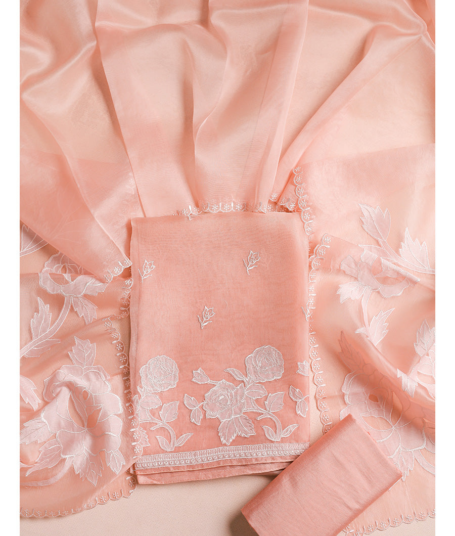 Pure organza applique work suit set