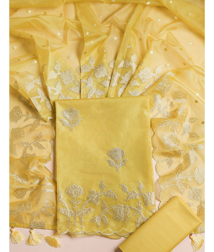Pure organza applique work suit set