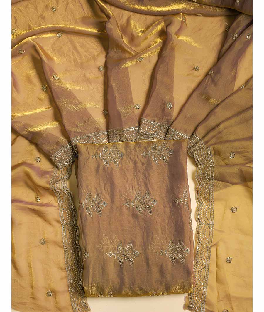 TISSUE SILK EMBROIDERED 2 PIECE SET