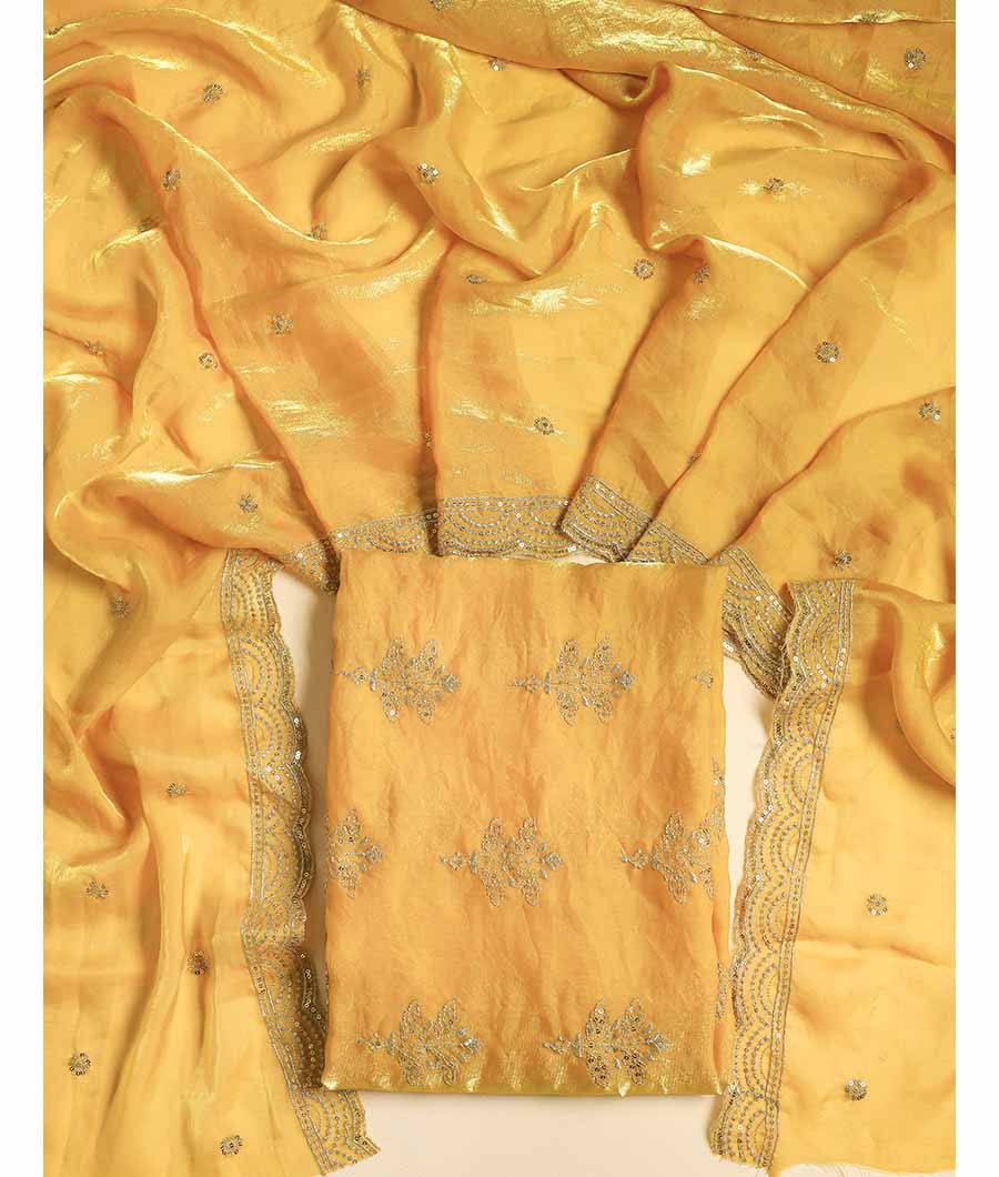 TISSUE SILK EMBROIDERED 2 PIECE SET